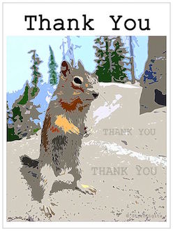 Thank You Card Preview