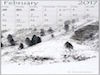 February Thumbnail