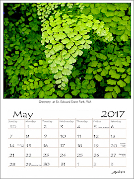 May Preview