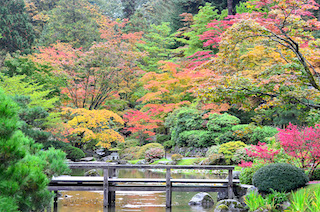 Colorful Fall