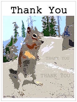 Thank You Card