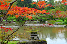 Japanese Garden