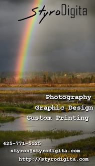 Business Card Design