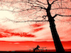 Waiting Thumbnail