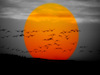 Sunset Thumbnail