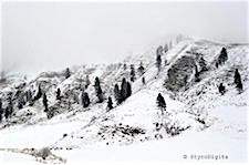 Snow Mountain