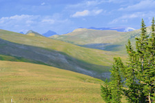 Shoshone National Forest