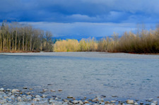 Al Borlin Park