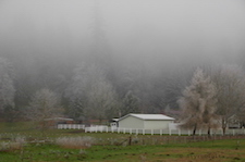 Frosty Day