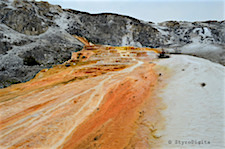 Yellowstone Mammoth Hot Springs
