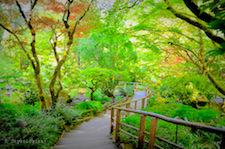 Butchart Gardens