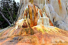 Yellowstone Mammoth Hot Springs