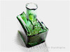 Green Bottle