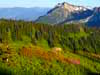 Mount Rainier National Park