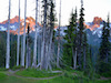 Cascades at Mt. Rainier Park